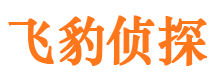 农安市婚外情调查